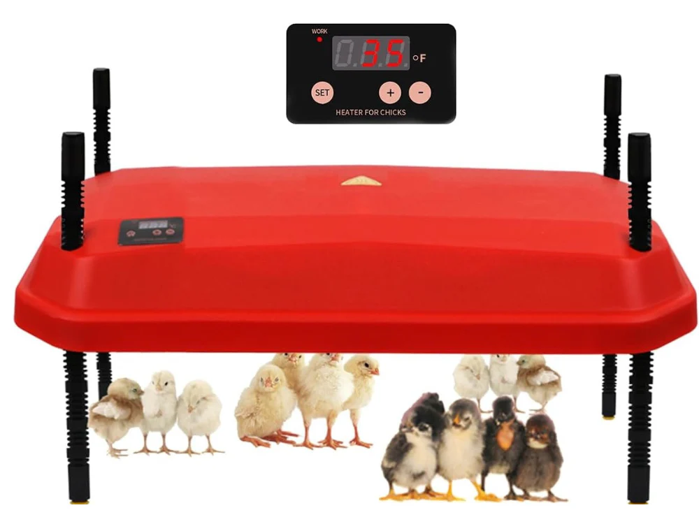 Chick Brooder Heating Plate Warmer,Chicken Coop Heater - Image 2