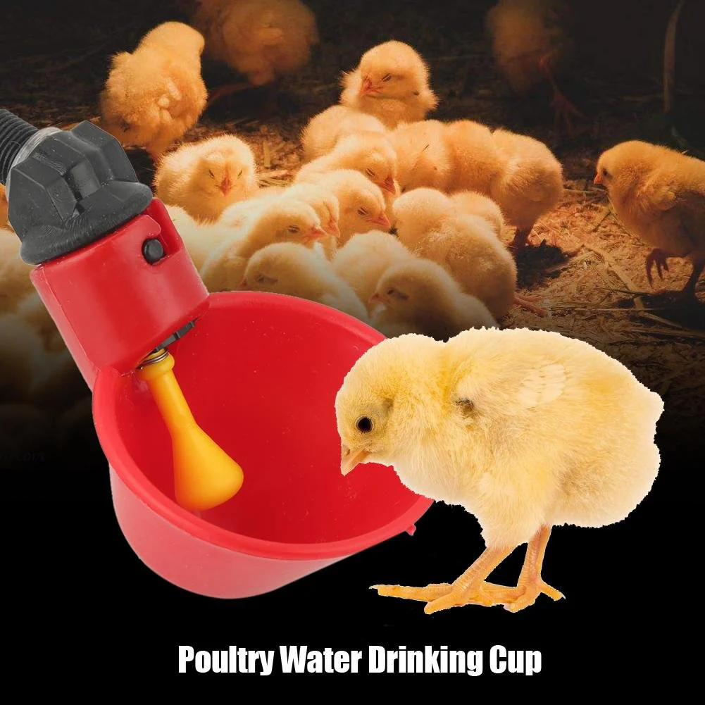 5Pcs Poultry Drinking Bowl Duck Water Dispenser Pigeon Chicken Water Cup - Image 8