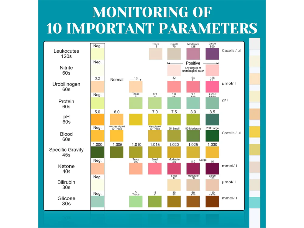 Urine PH Test Strips Protein Ketone Testing Strip - Image 12