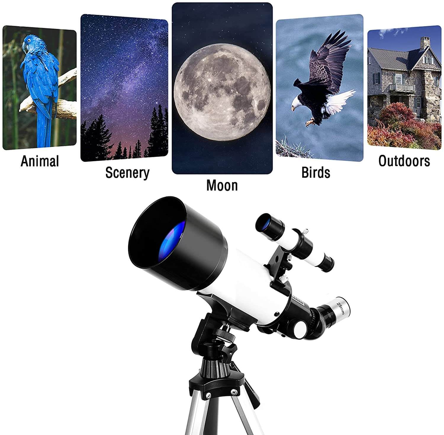 Telescope with Tripod - Image 13