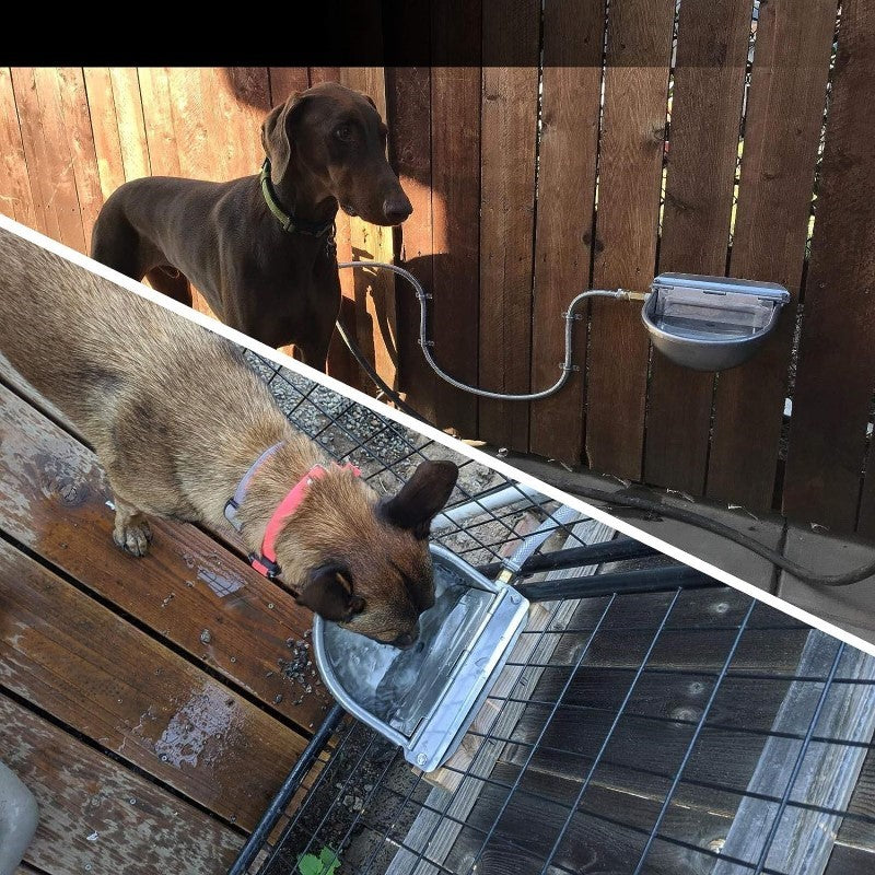 Auto Fill Water Trough Bowl - Image 5