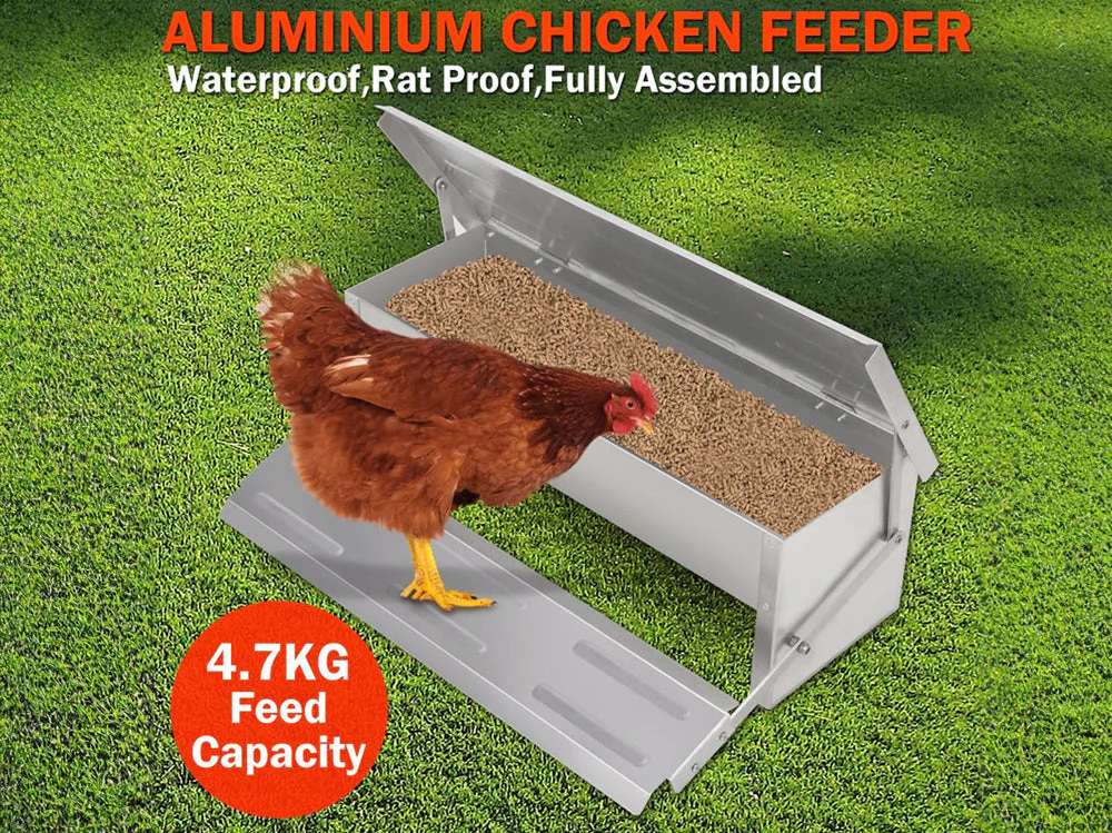 Automatic Chicken Feeder - Image 8