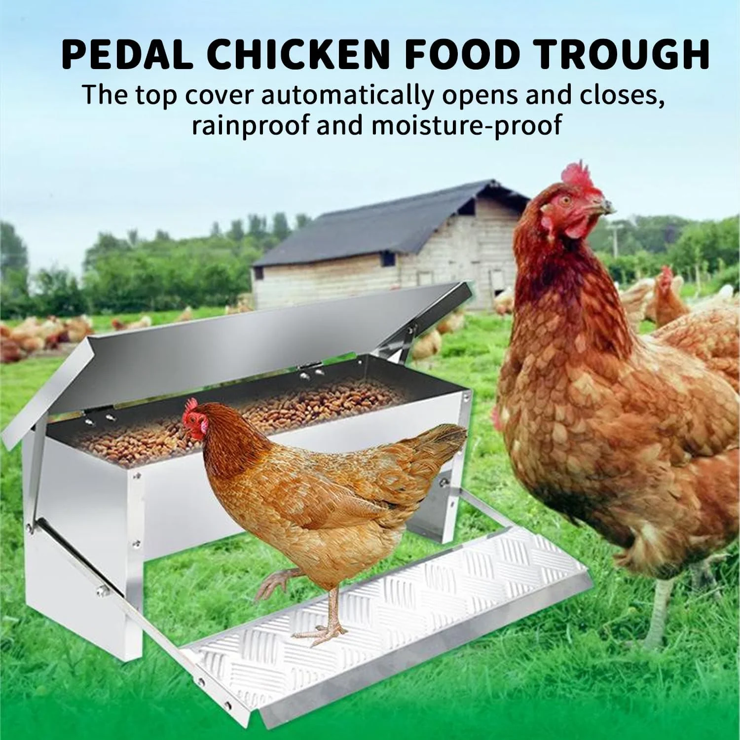 Automatic Chicken Feeder 5kg - Image 2