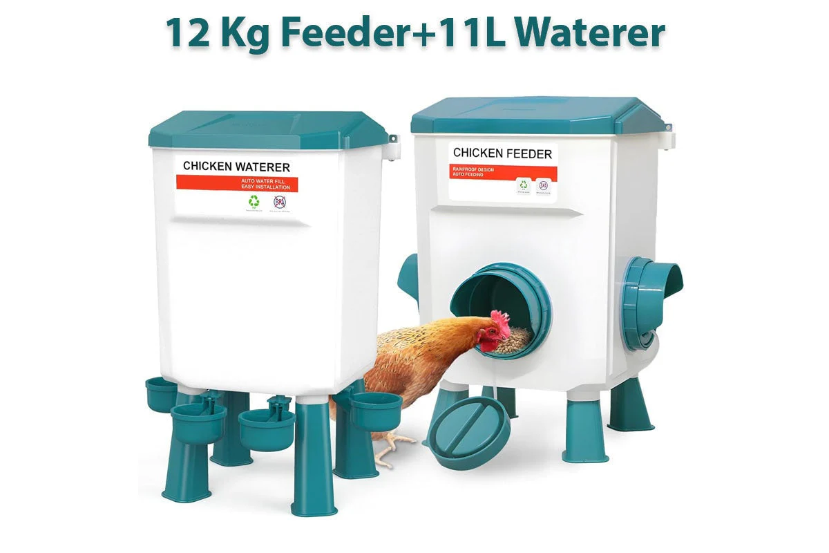 Automatic Chicken Feeder Chicken Drinker - Image 3