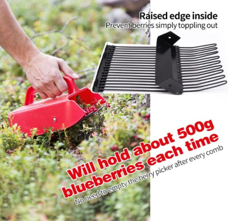 Berry Picker with Metallic Comb and Ergonomic Handle - Image 4