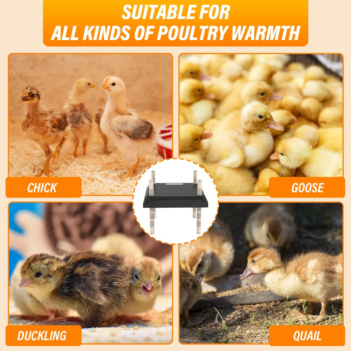 Chick Brooder Heating Plate Warmer,Chicken Coop Heater - Image 6