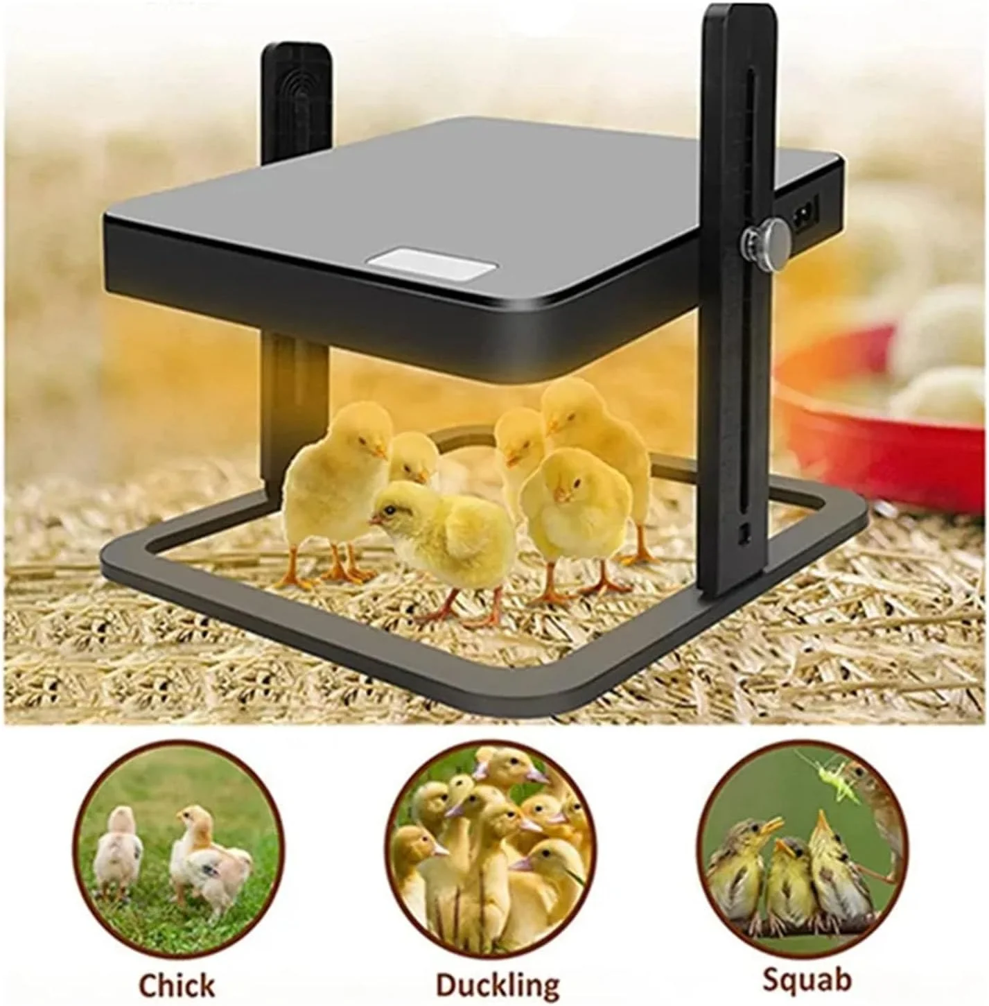 Chick Brooder Heating Plate Warmer Chicken Coop Heater - Image 11