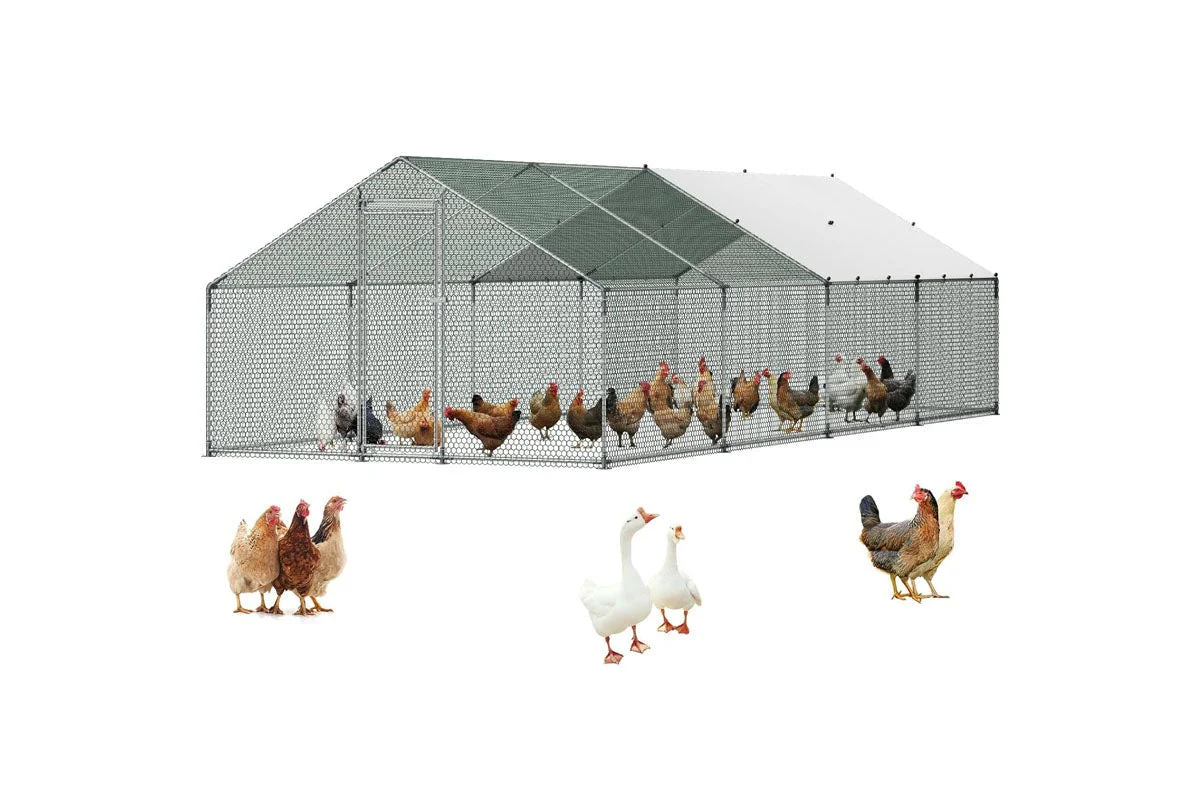 Outdoor Chicken Coop 8Mx3Mx2M - Image 2