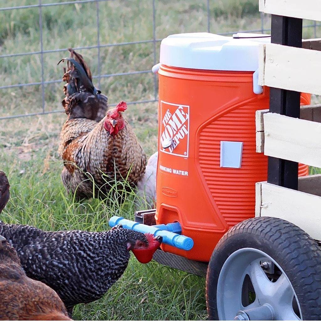 Chicken Drinker Cups - 10 Pack Automatic Poultry Water Feeder with Peck Trigger - Image 2