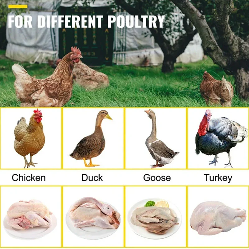 Chicken Plucker Drill Attachment - Image 2