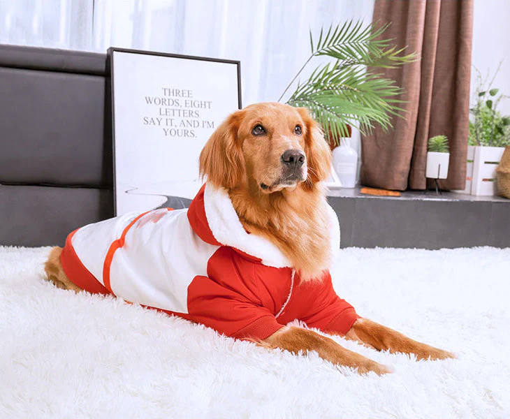 Dog Coat Hoodie Pet Winter Clothes Warm and Soft Size 6XL - Image 4