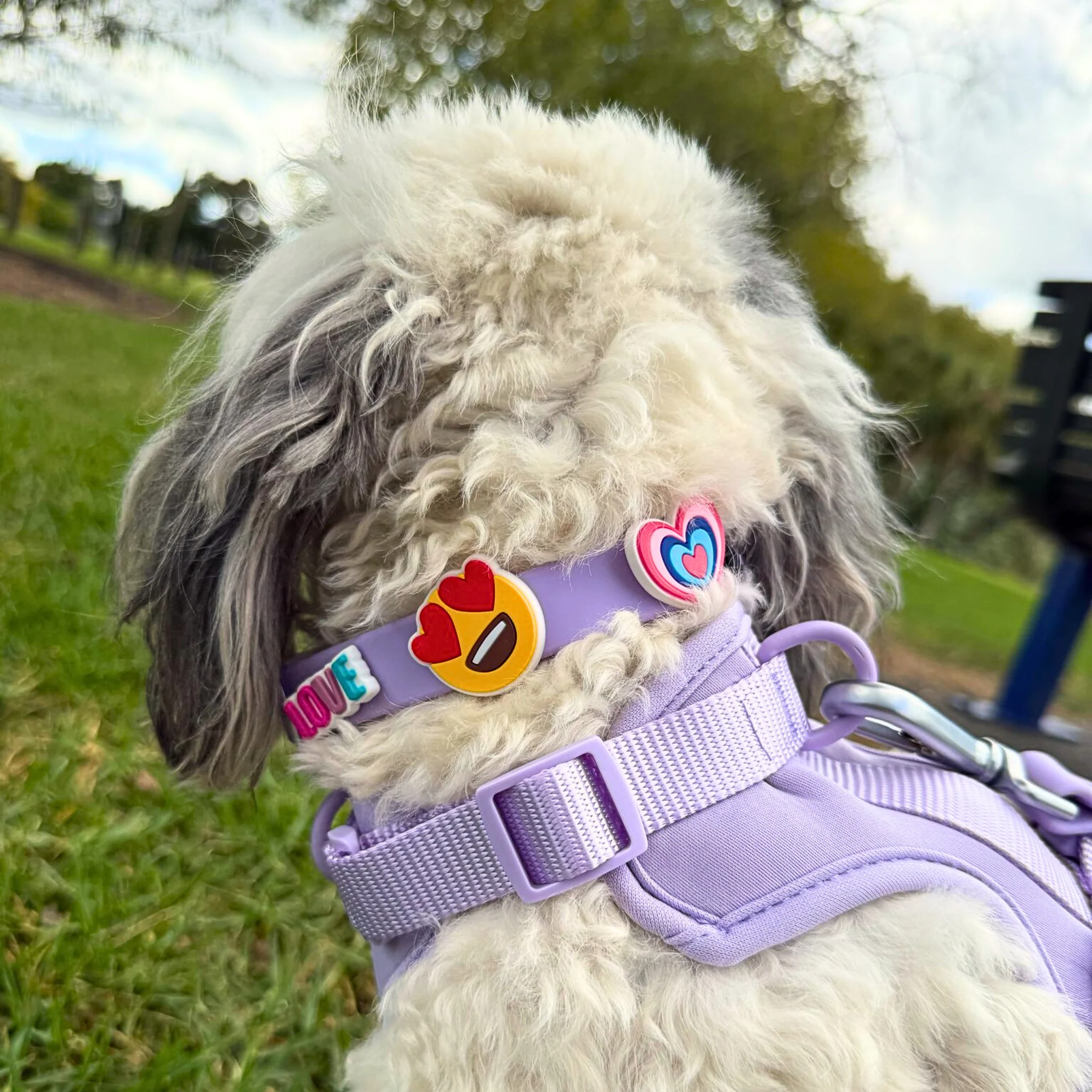 Dog Collar | Lilac - Image 6