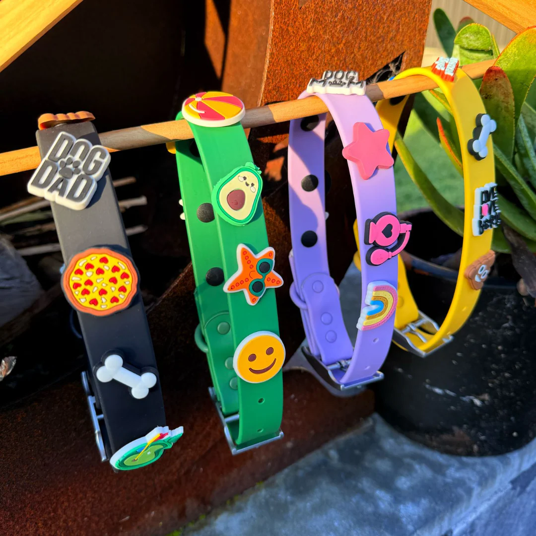 Dog Collar | Yellow - Image 7