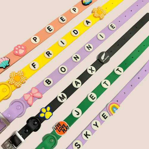 Dog Collar | Yellow - Image 8