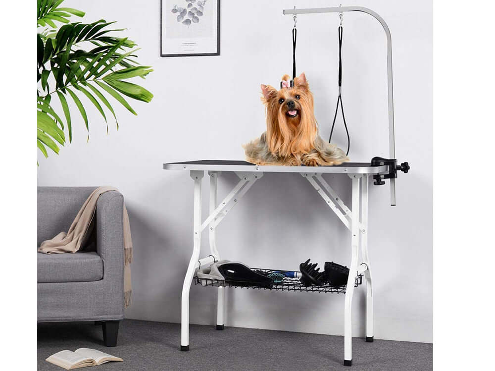 Dog Grooming Table Height Adjustable - Image 5