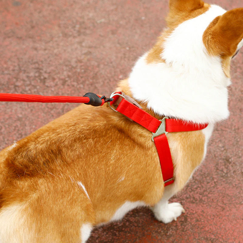 Dog Harness and leash Set Pet Harness Puppy Traction Rope - 2.5CM - Image 3