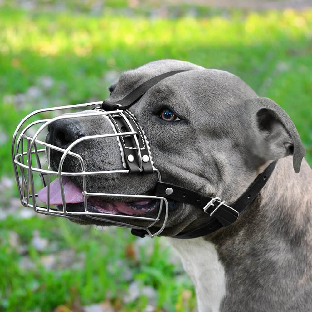 Dog Muzzle Wire Basket Amstaff Pit Bull Metal Mask Adjustable Leather Straps - Image 5