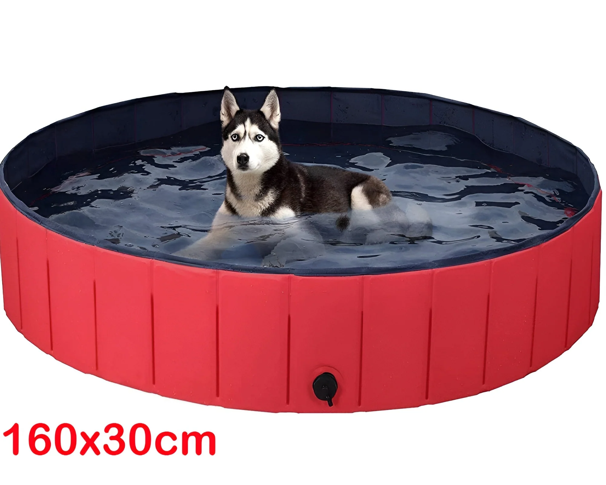 Dog Pet Swimming Pool - Image 10