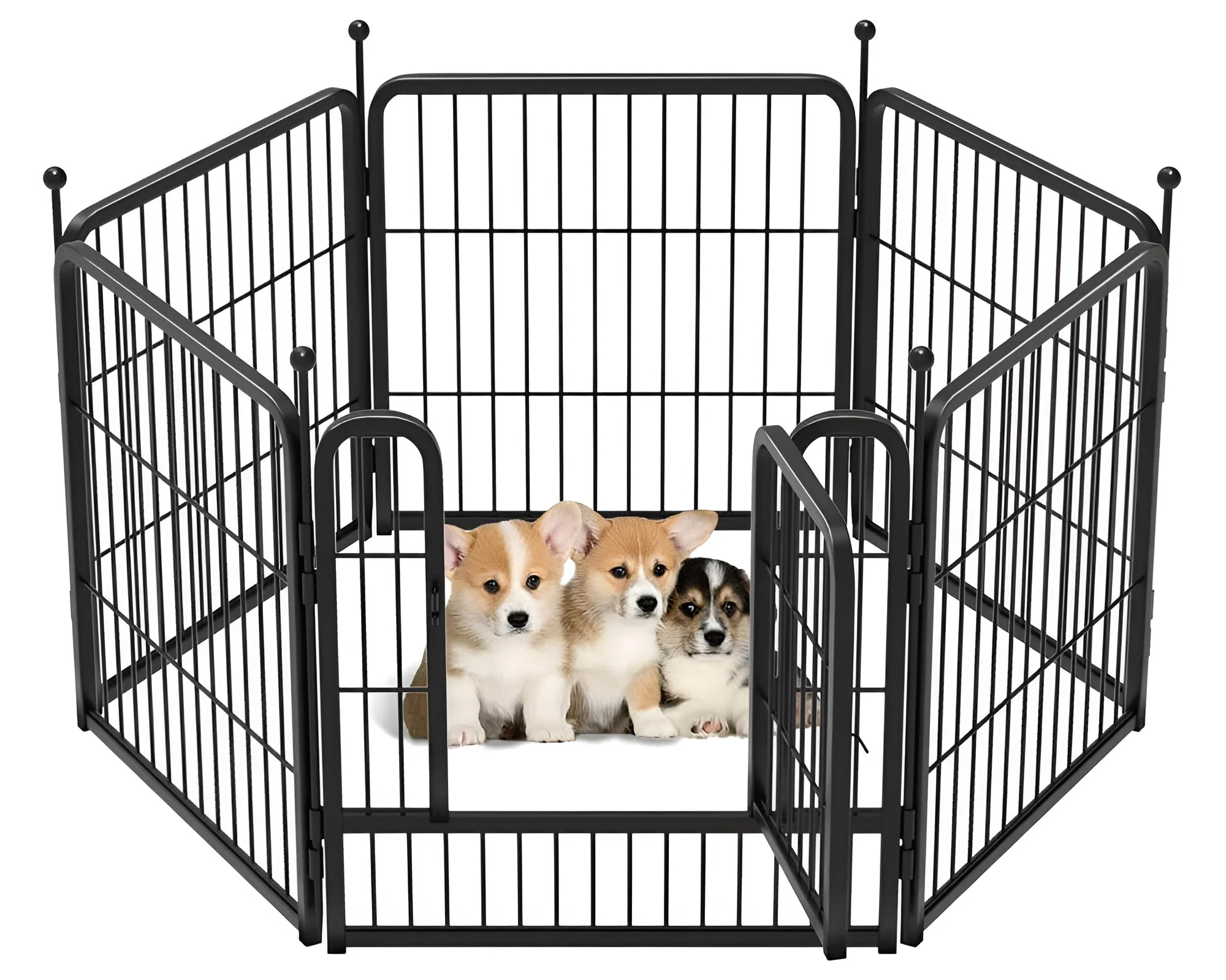 Dog Play pen Dog Play Pen