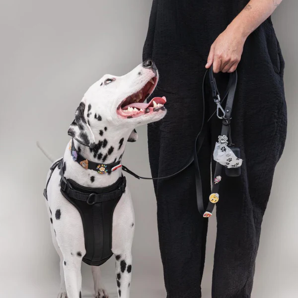Dog Poop Bag Holder | Black - Image 3