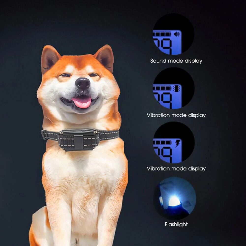Dog Training Collar 800M - Image 3