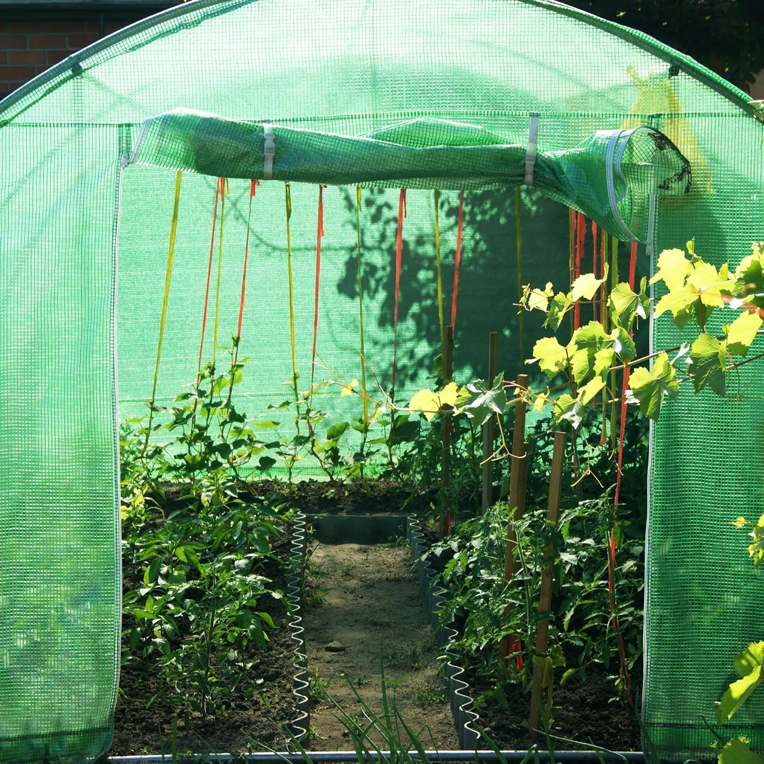 Greenhouse 2x2x2m - Image 9
