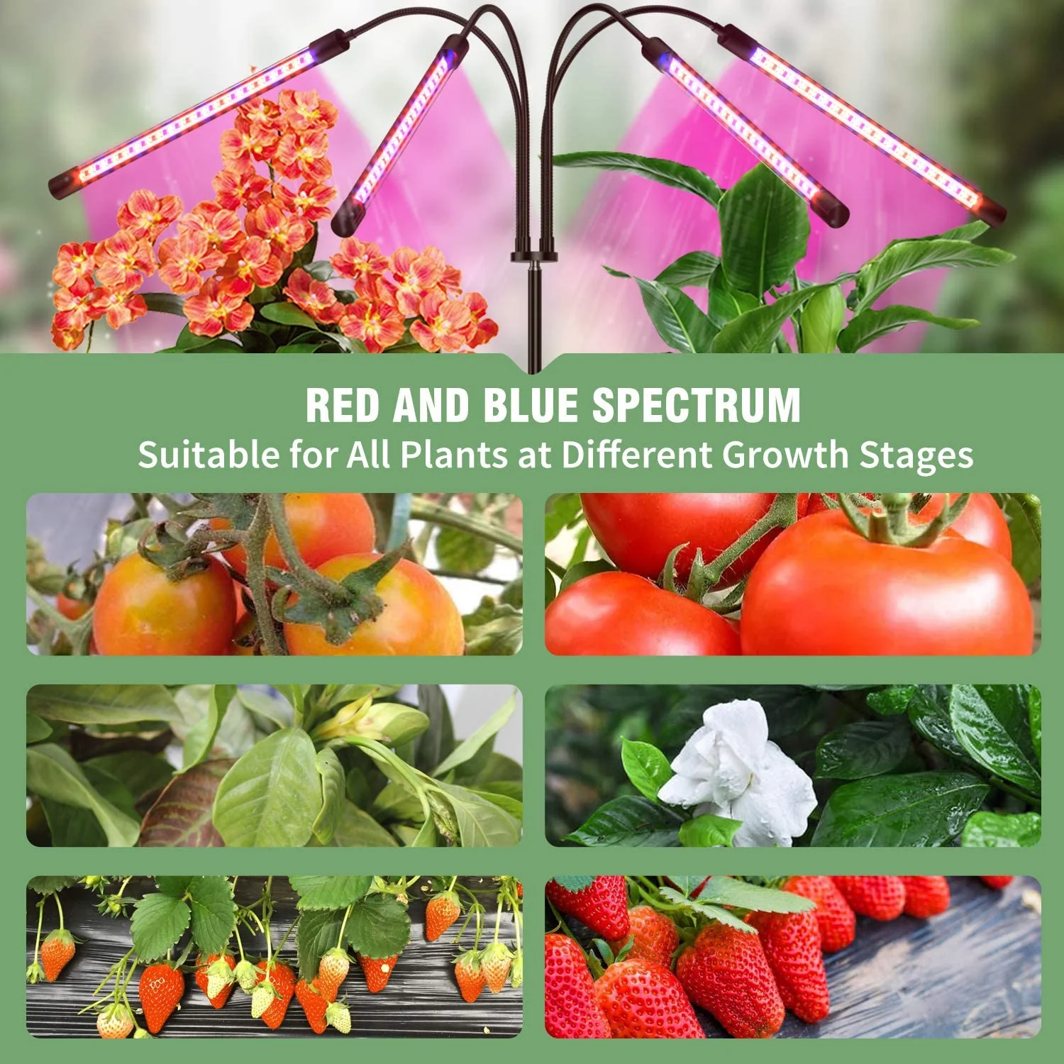 LED Grow Light with Timer For Plants - Image 7