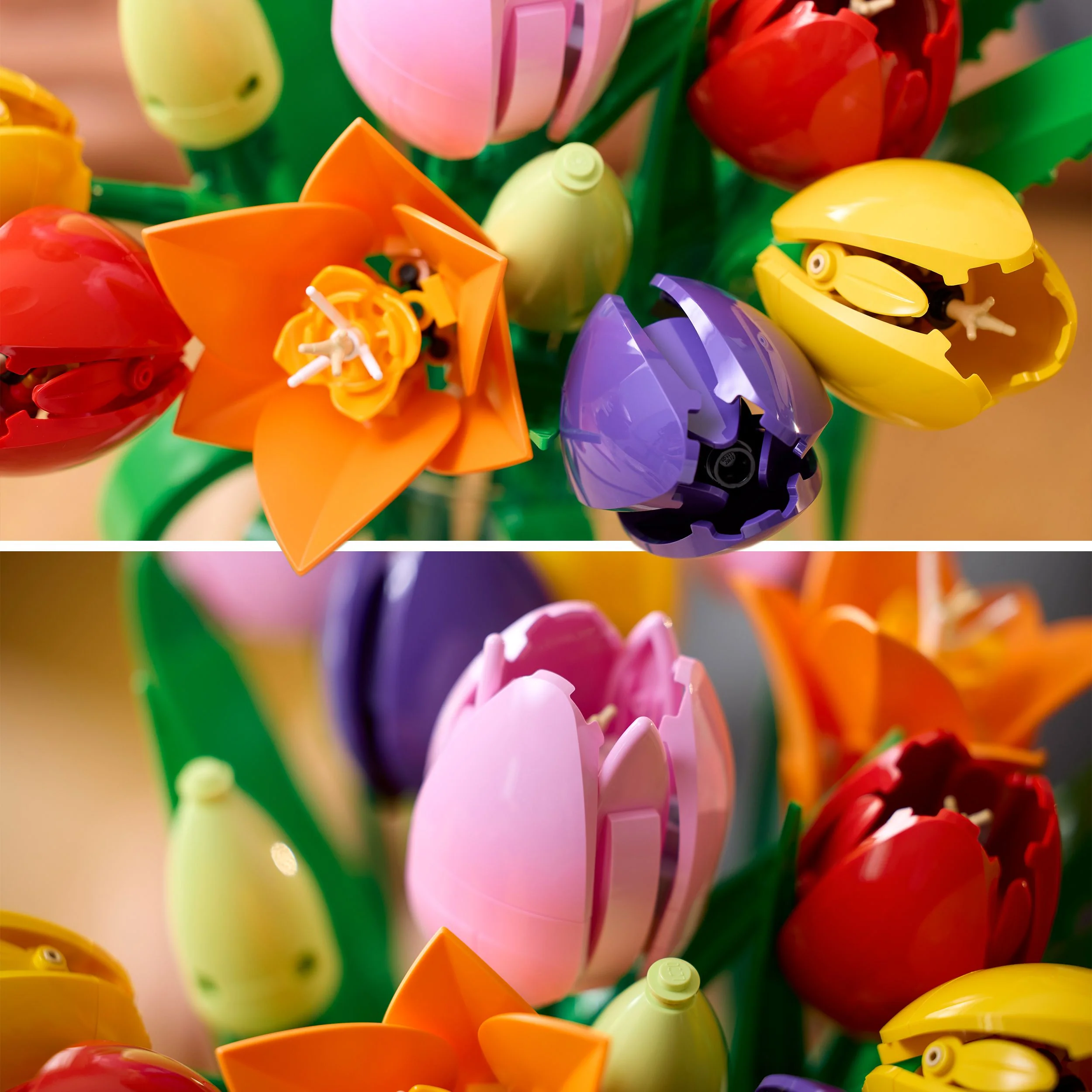 LEGO Botanicals: Tulip Bouquet (11501) - Image 13
