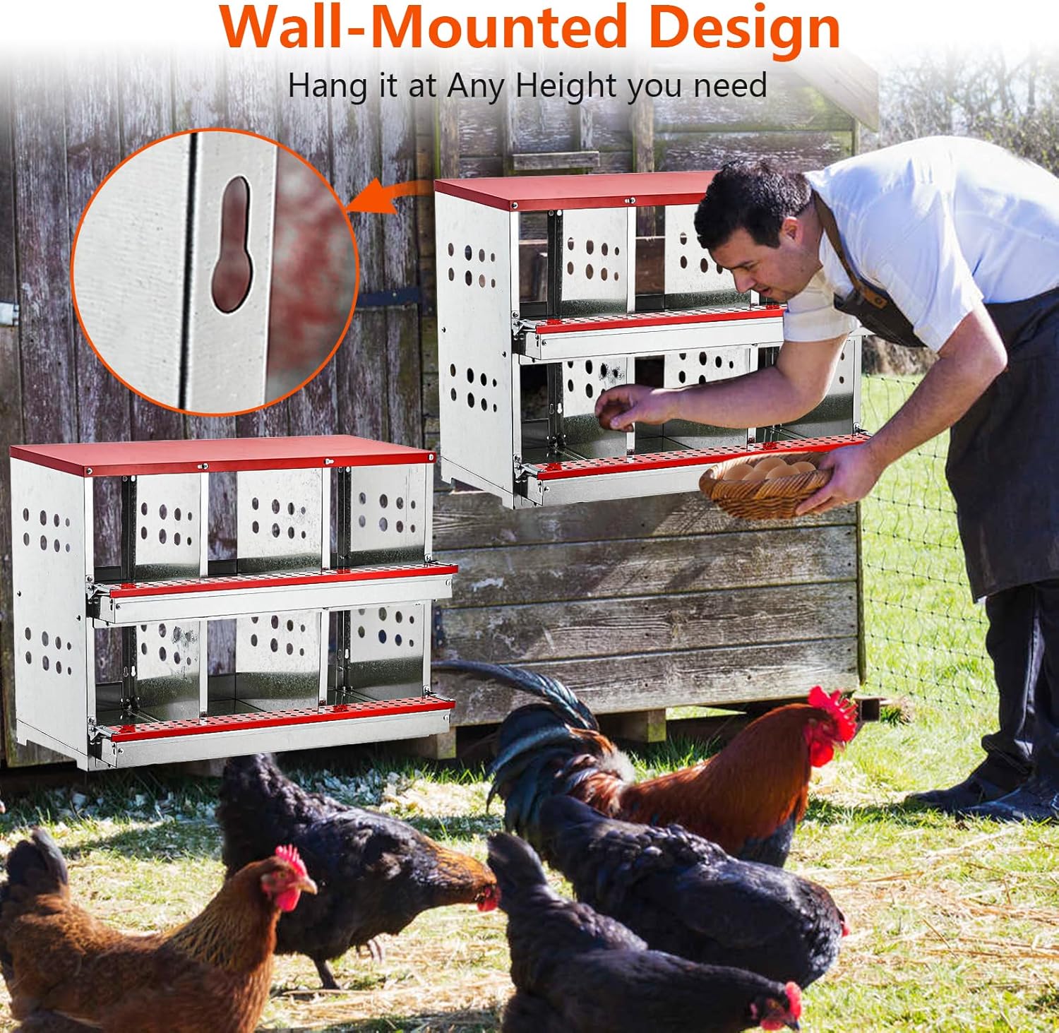 Nesting Box Chicken Hen Roll Away Laying Nest Boxes Chook Brooder 6 Compartment - Image 10