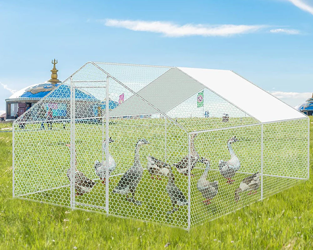 Outdoor Chicken Coop 4Mx3M - Image 10