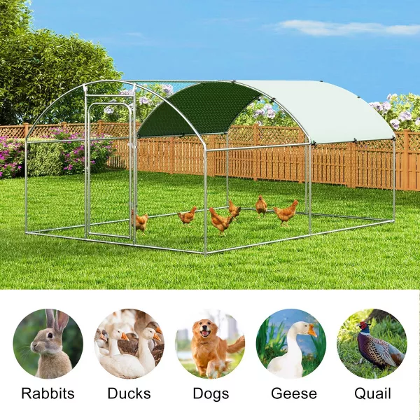 Outdoor Chicken Coop - Image 3