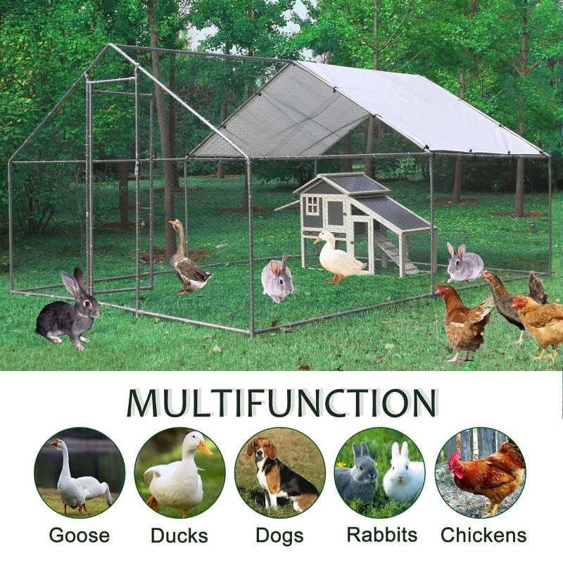 Outdoor Chicken Coop - Image 8