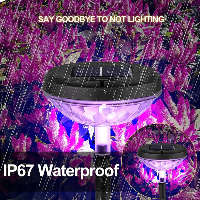 Pathway Outdoor Solar Lights 4PCS Decorative Garden Lights - Image 3