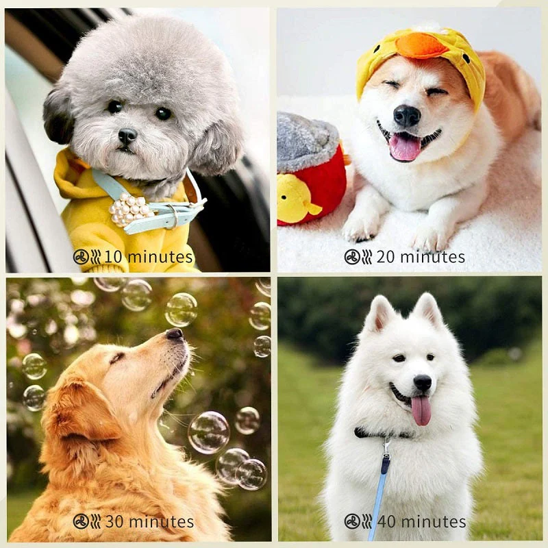 Pet Hair Dryer Grooming Blower 2600W - Image 8
