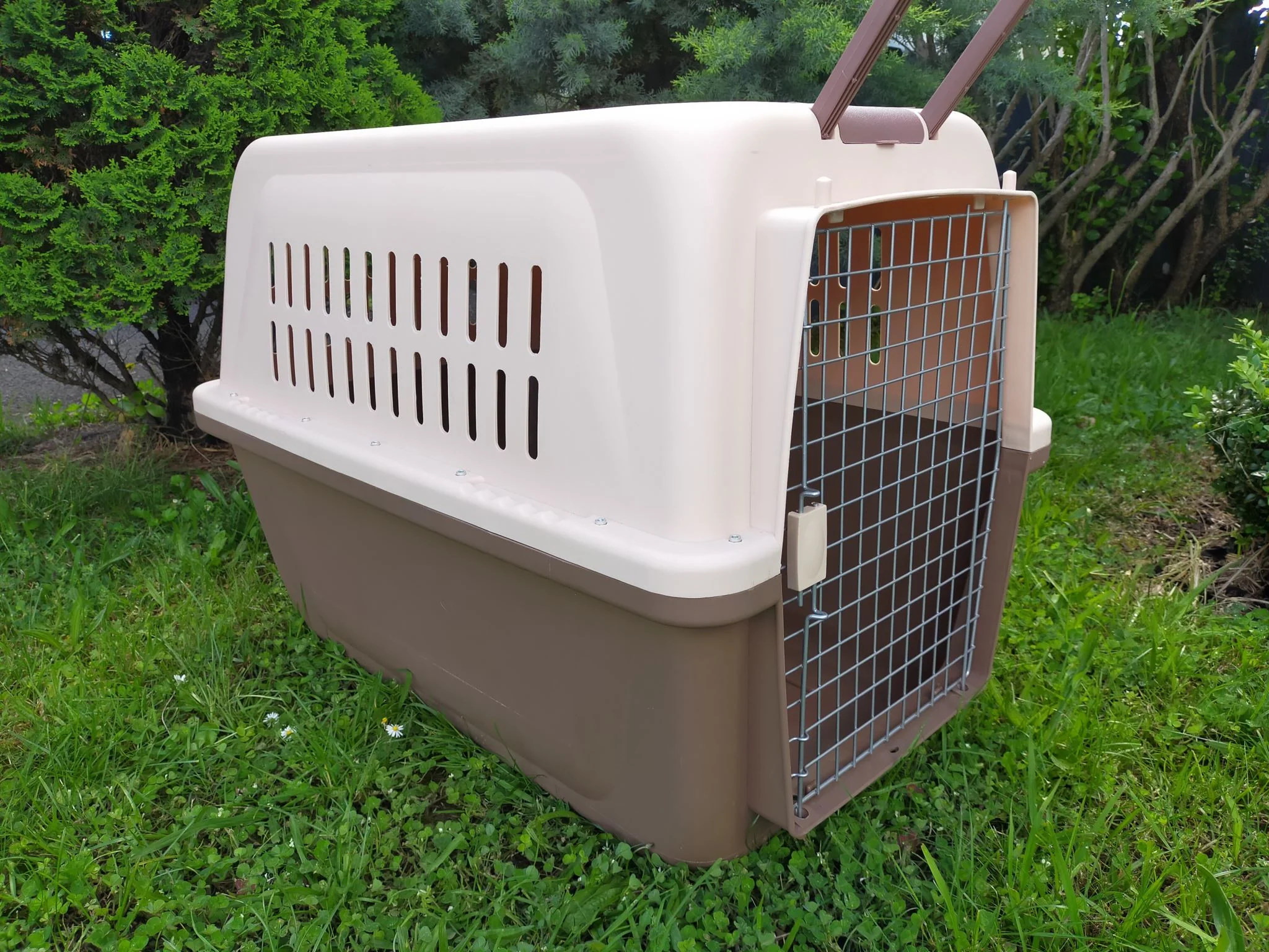 PP50 81cm - Wheeled Plastic Airline Travel Cage/Carrier/Crate with Bowl - Image 4