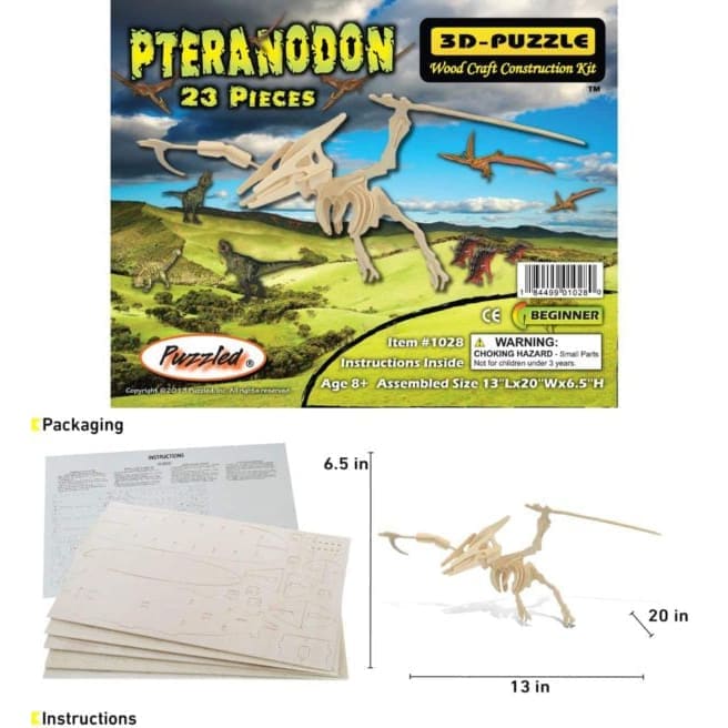Pteranodon - Image 2