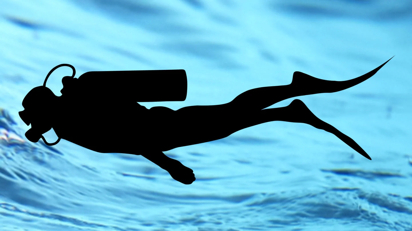 ROB allen Bungee - Blue - Image 2