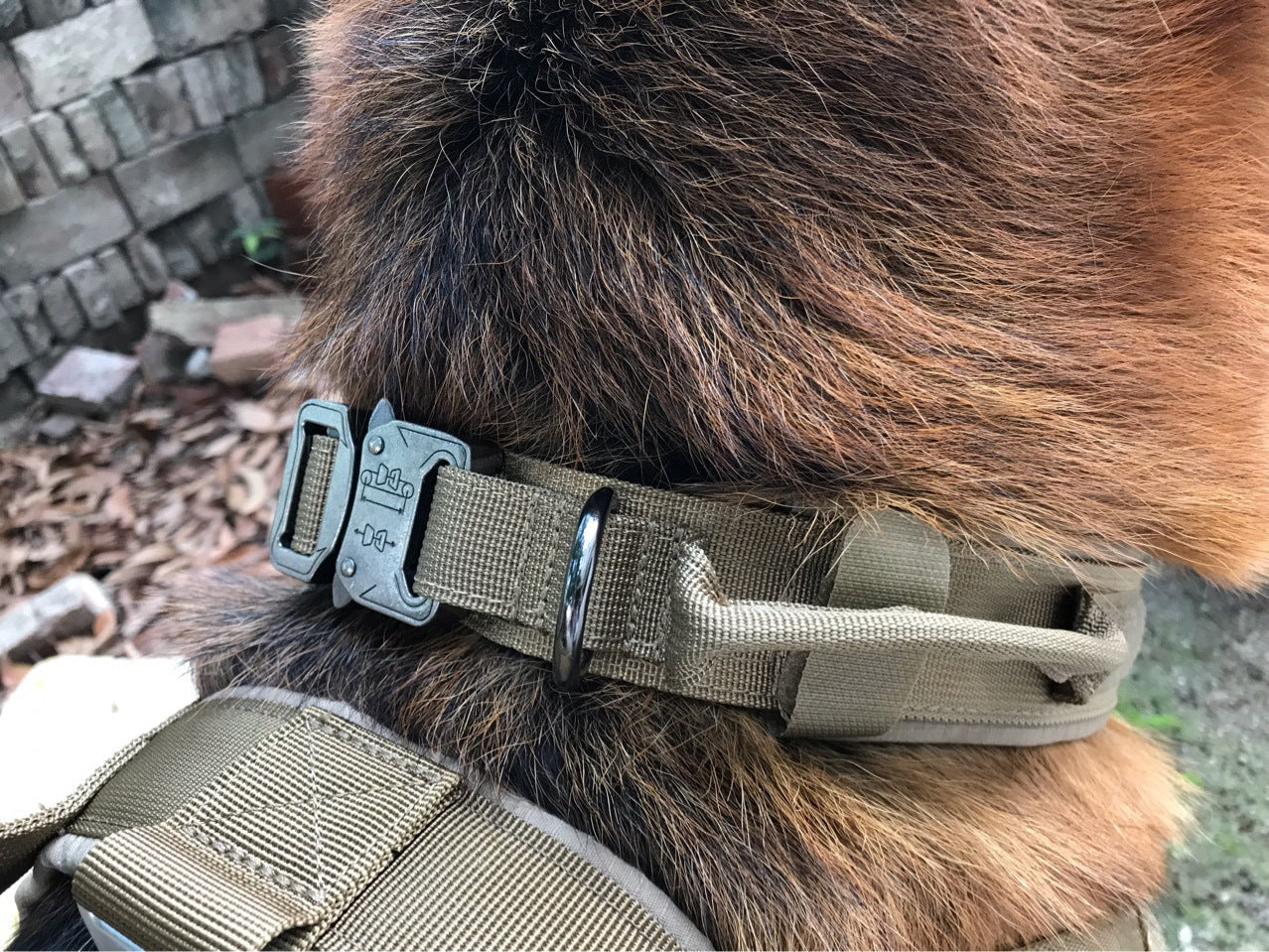 Tactical Dog Collar Adjustable Military Training Nylon Dog Collar Metal Buckle - Image 3