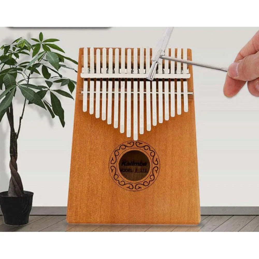 Thumb Piano Kalimba 17 Keys with Portable Case