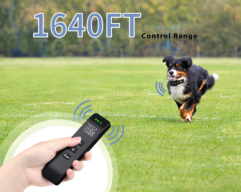 Vibrating Dog Collar No Shock - Image 10