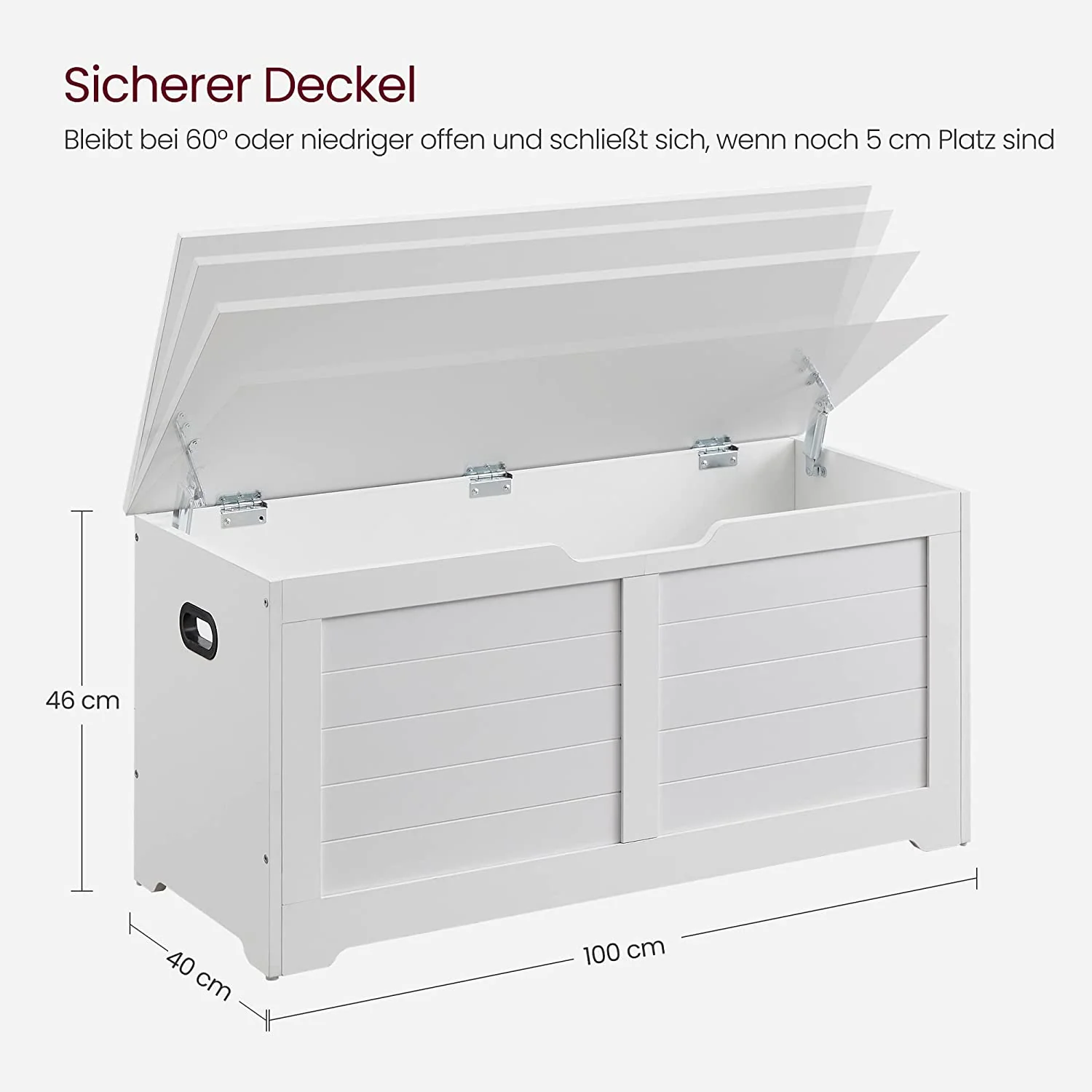 Storage Chest Bench, Storage Trunk with 2 Safety Hinges - Image 3
